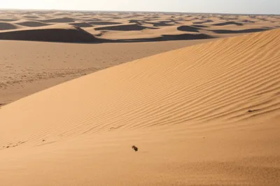 Illustration midgets - Image 1