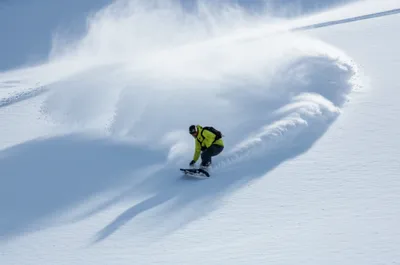 Illustration shred - Image 1