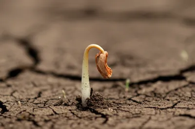 Illustration ab - Image 1