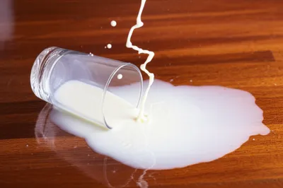 Illustration spilt - Image 1