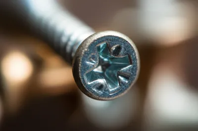 Illustration filet - Image 1