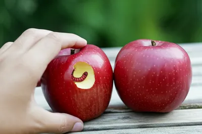 Illustration mistaken - Image 1