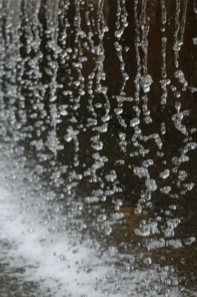 Illustration trochaic