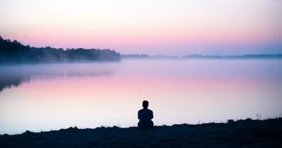 Illustration quieted - Image 1