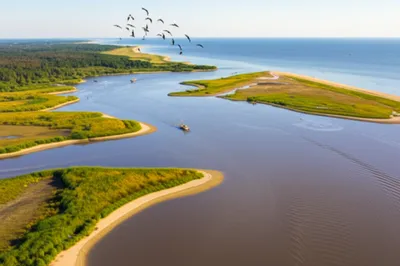 Illustration downriver - Image 1