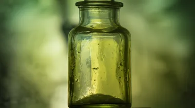 Hình ảnh minh họa vaseline - Ảnh 1