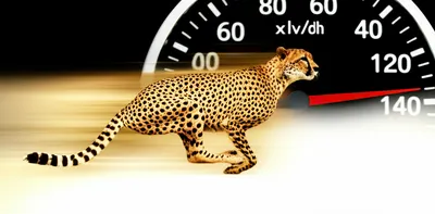 Illustration bucketed - Image 1