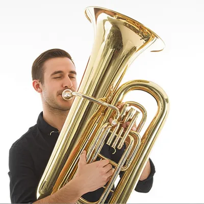 Illustration baritones - Image 1