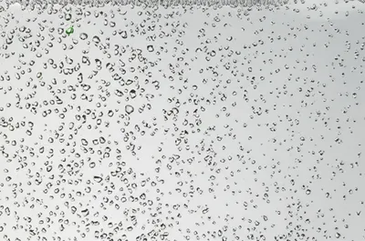 Illustration grain - Image 1