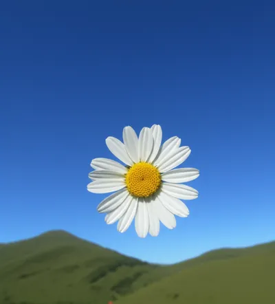 Illustration simplest - Image 1