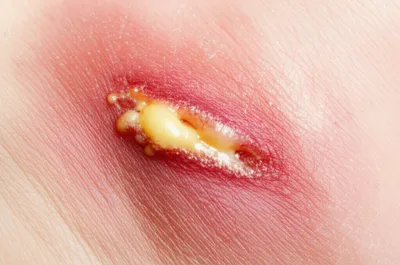 Illustration digests - Image 1