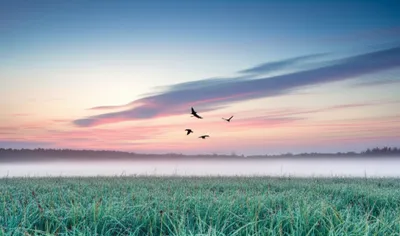 Illustration ambient - Image 1