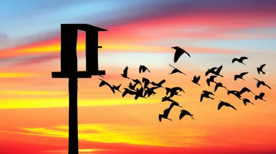 Illustration gone - Image 1