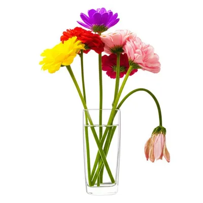 Illustration unfavorable - Image 1