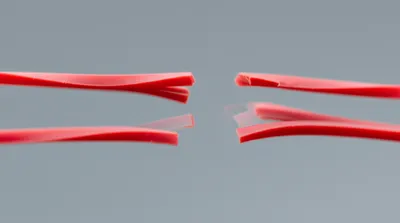 Illustration snapped - Image 1