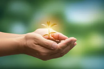 Illustration folds - Image 1