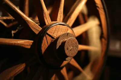 Illustration trundle - Image 1