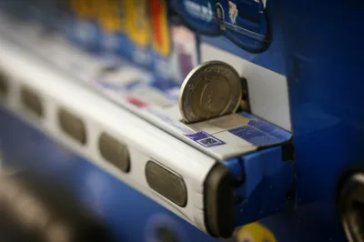 Illustration slug - Image 1