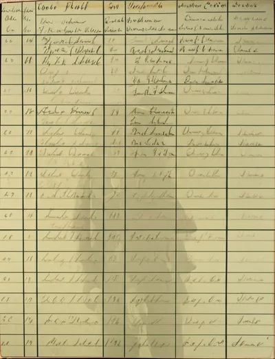 Illustration fagot - Image 1