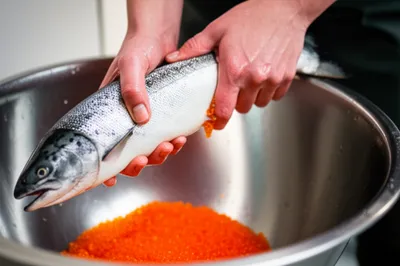 Illustration stripped - Image 1