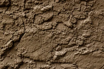 Illustration daub - Image 1