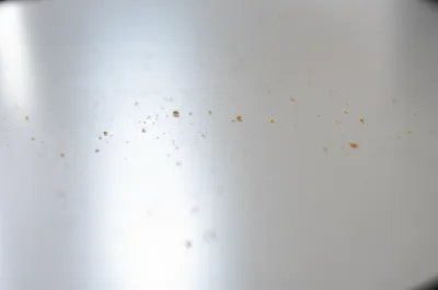 Illustration crumbs - Image 1