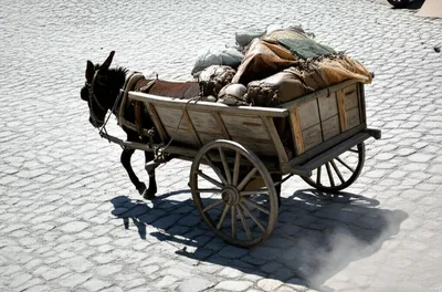 Hình ảnh minh họa trundled - Ảnh 1