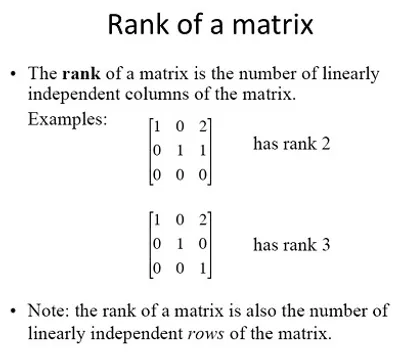 Illustration rank - Image 2
