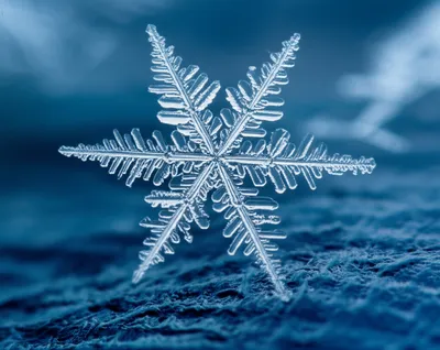 Illustration snowflakes