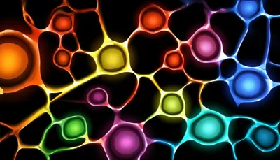 Illustration intercellular