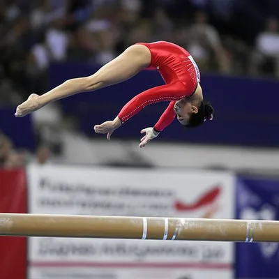 Illustration flips - Image 1