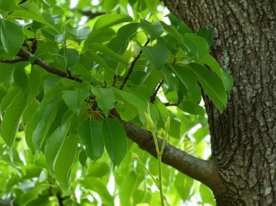 Illustration gr - Image 1