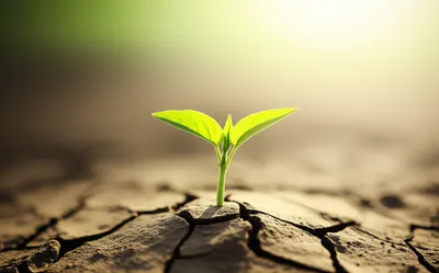 Illustration live - Image 1