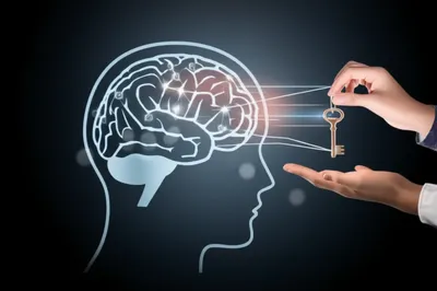 Illustration retention - Image 1