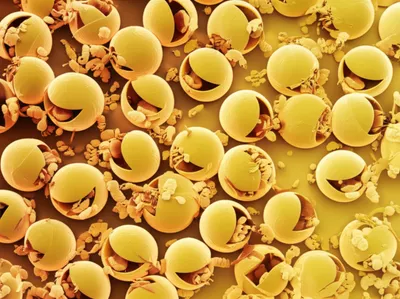 Illustration resolution - Image 1