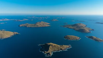 Illustration synopsis - Image 1