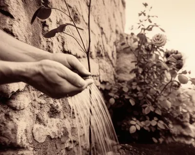 Illustration grandparent - Image 1