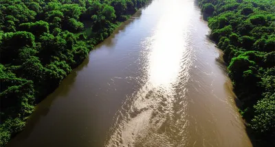 Illustration conjoining