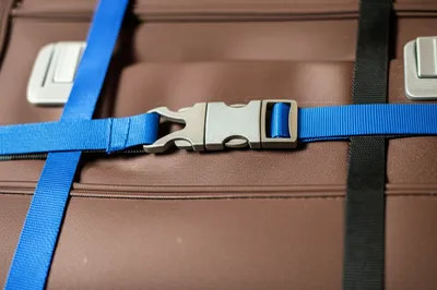 Illustration strap - Image 1