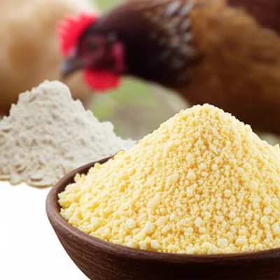 Illustration meal - Image 1