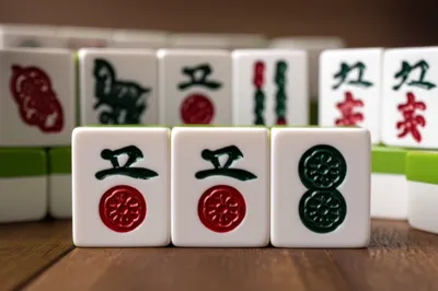 Illustration chow - Image 1