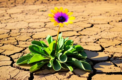 Illustration cures - Image 1