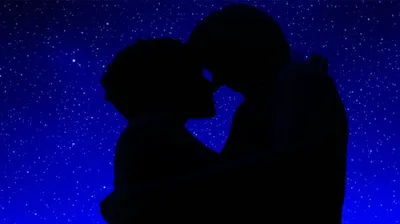 Illustration shag - Image 1