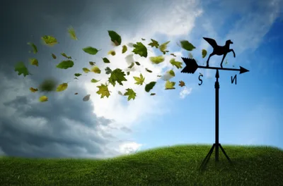 Illustration vars - Image 1