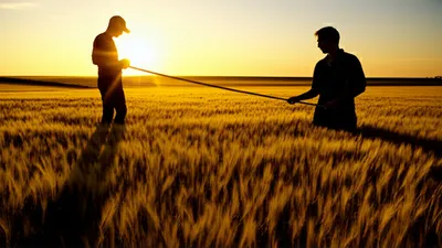 Illustration mete - Image 1