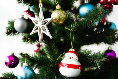 Illustration ornament - Image 1