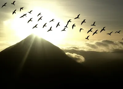 Illustration upwardly - Image 1