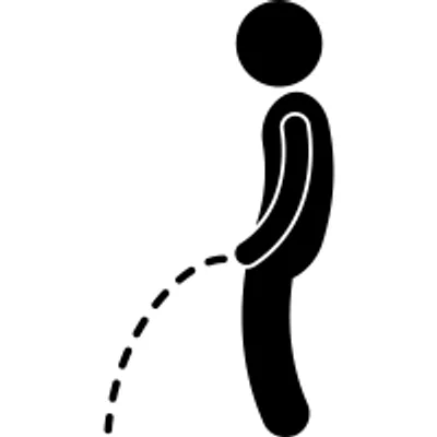 Illustration urine - Image 2