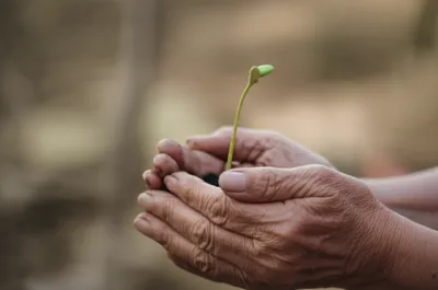 Illustration embrace - Image 1