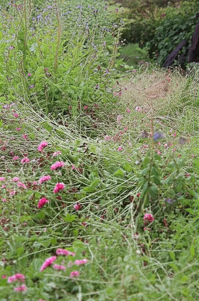 Illustration vitiated - Image 1